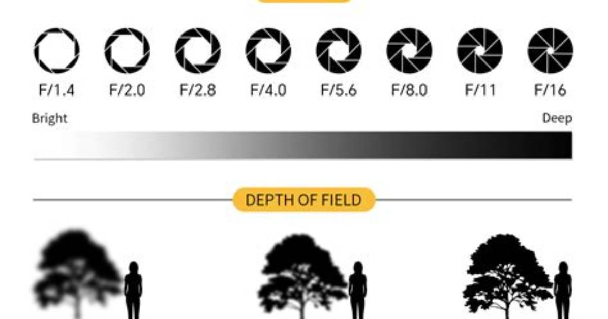 Why Use Aperture Priority?