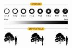 Why Use Aperture Priority?