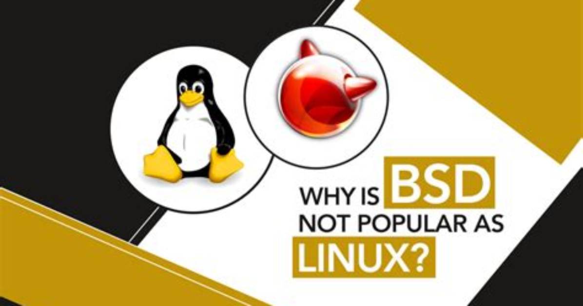 Why Use Bsd over Linux?