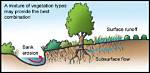 Why Vegetation Affect Runoff?