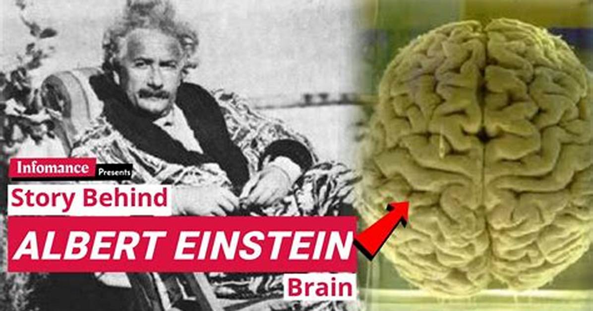 Why Was Einstein So Smart?