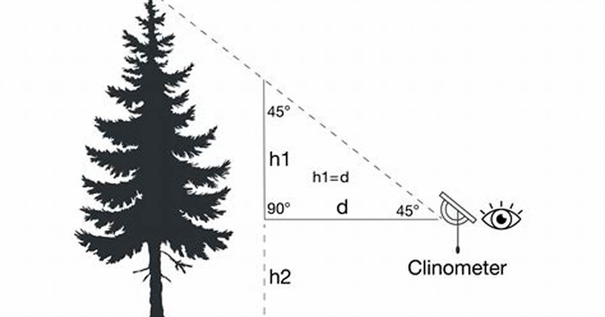 Why We Need Clinometer?