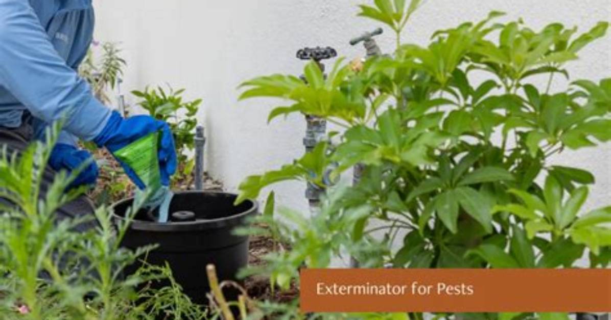 Why We Need Exterminator?