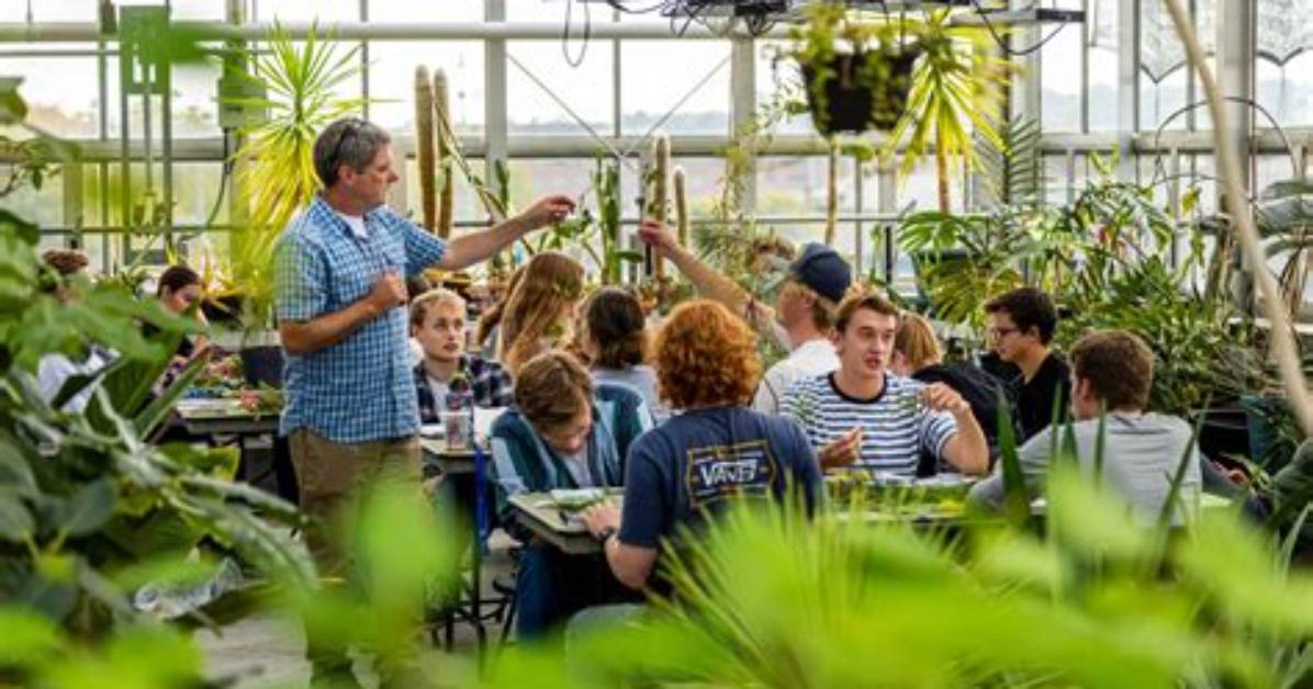 Why We Study Dendrology?