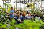Why We Study Dendrology?