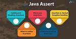 Why We Use Assert?
