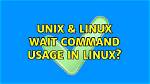 Why We Use Command in Linux?