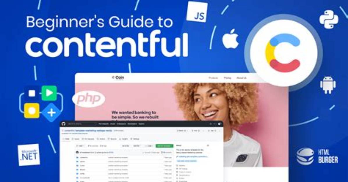 Why We Use Contentful?
