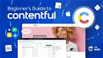 Why We Use Contentful?