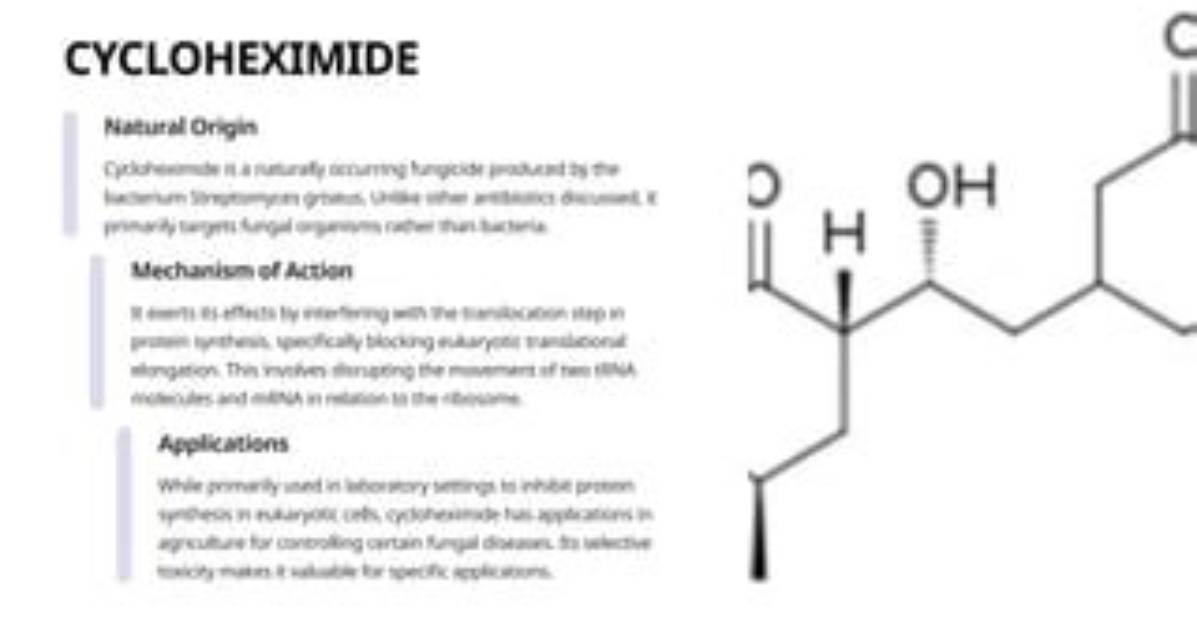 Why We Use Cycloheximide?