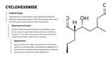 Why We Use Cycloheximide?
