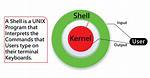 Why We Use Shell in Linux?