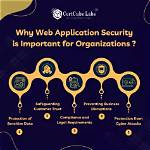 Why Web Application Security?