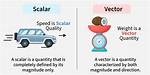 Why Work Is a Vector Quantity?