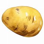 Why You Might See a Painted Potato on Top of a London Bus Stop