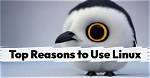 Why You Should Use Linux?