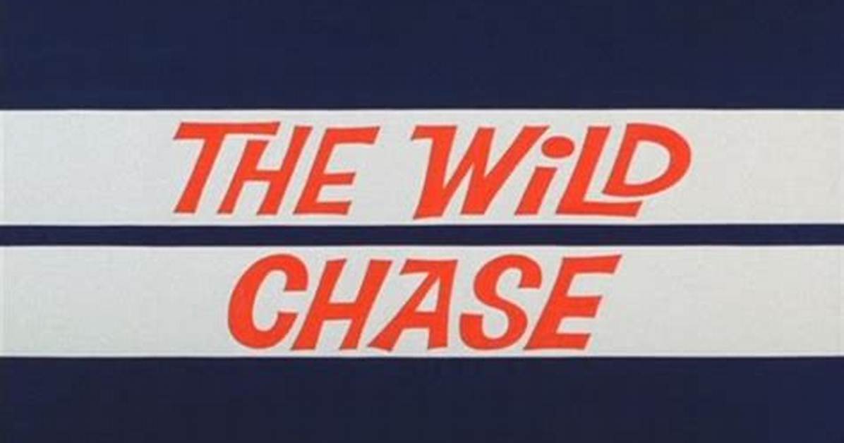 Wild ___ Chase