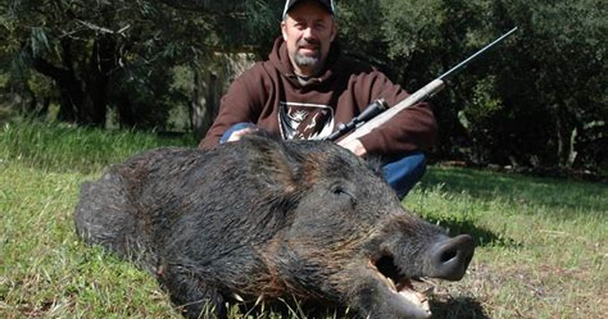 Wild Hog