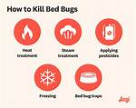 Will 100 Degrees Kill Bed Bugs?