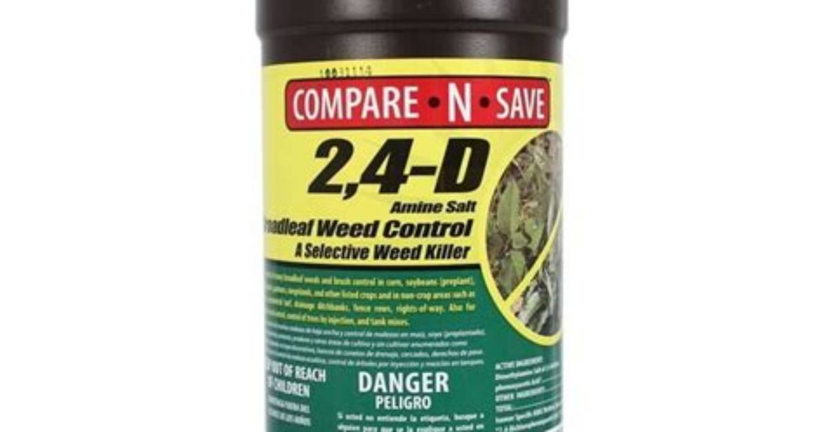 Will 24D Kill Juniper?