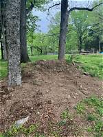 Will Adding Dirt Around a Tree Kill It?