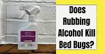 Will Alcohol Kill Bed Bugs