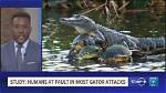 Will Alligators Attack Humans?