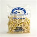 Will Bagged Beans Sprout?