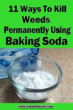 Will Baking Soda Kill Toadstools?
