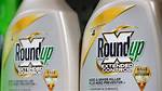 Will Bayer Settle Roundup Cases?