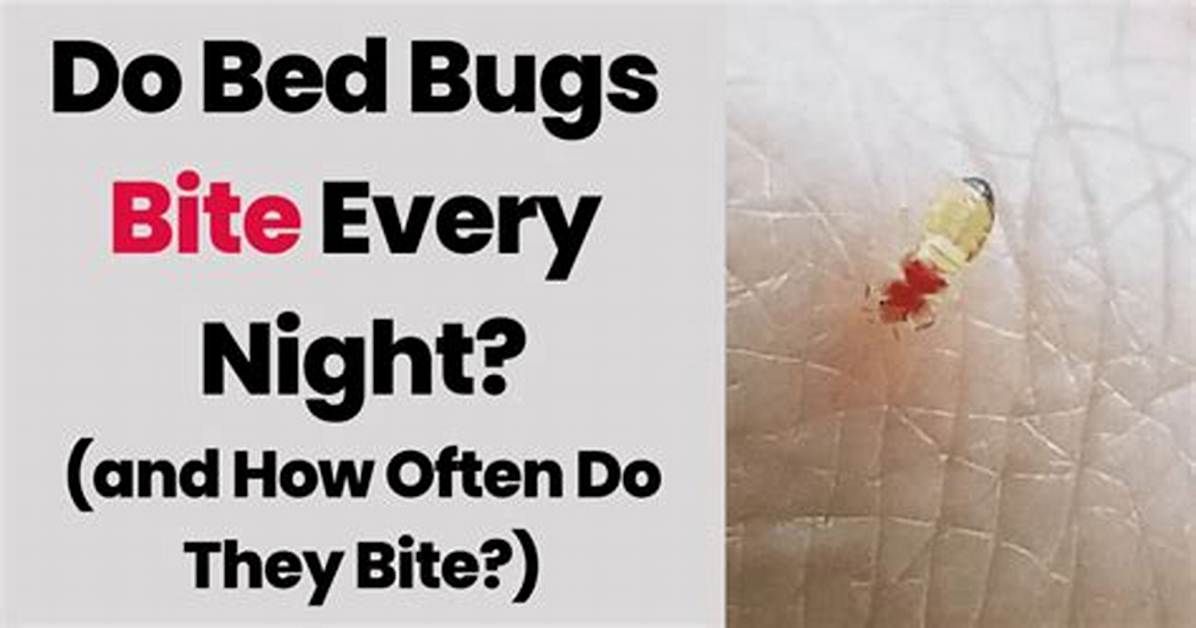 Will Bedbugs Bite Every Night?