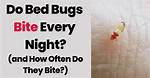 Will Bedbugs Bite Every Night?