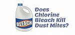Will Bleach Kill Mites