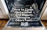 Will Bleach Kill Odors?