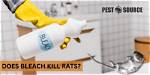 Will Bleach Kill Rats