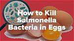 Will Boiling Kill Salmonella?