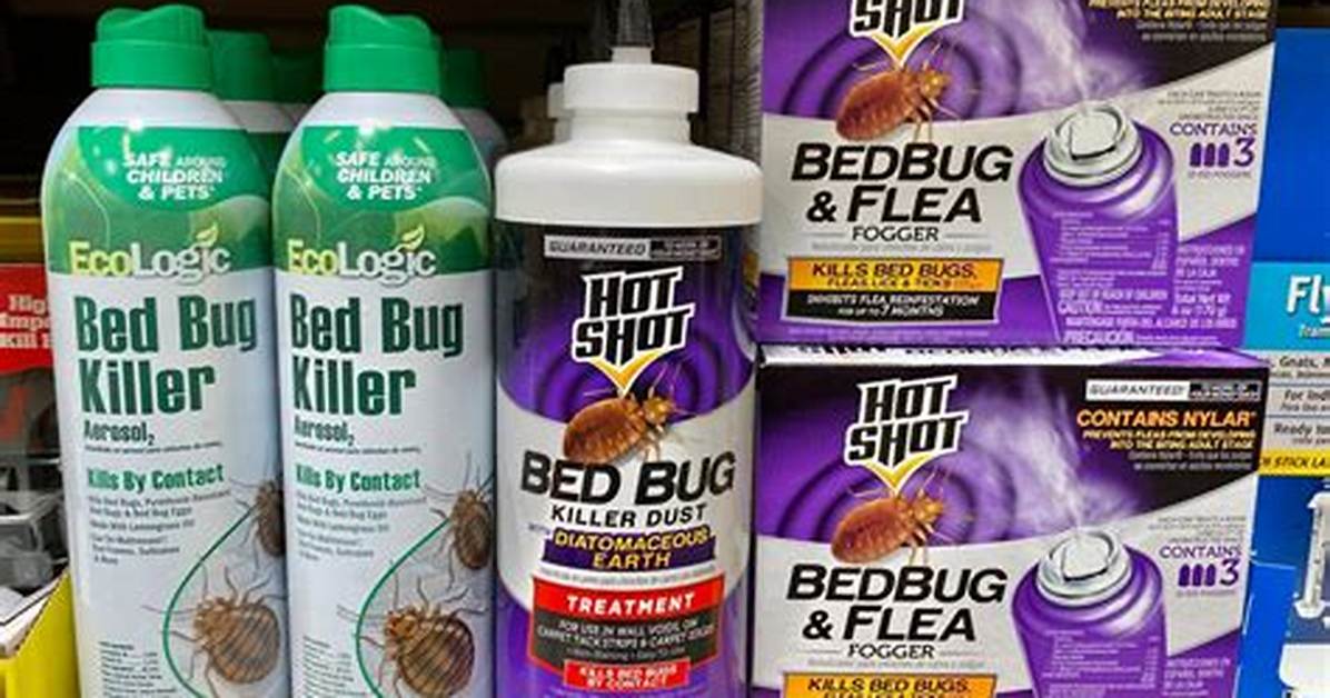 Will Bombs Kill Bed Bugs?