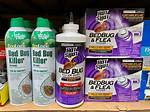 Will Bombs Kill Bed Bugs?