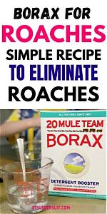 Will Borax Kill Roaches?