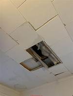 Will Ceiling Tiles Burn?