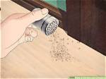 Will Cinnamon Kill Ants?