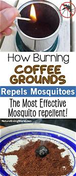 Will Coffee Grounds Burn