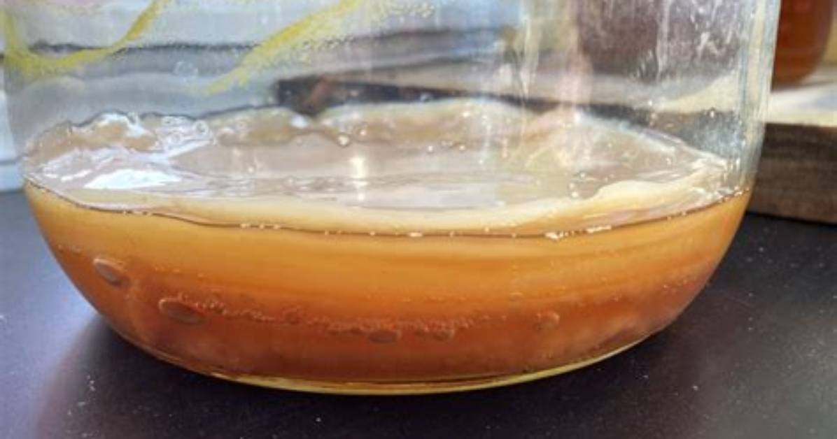 Will Cold Kill Scoby?
