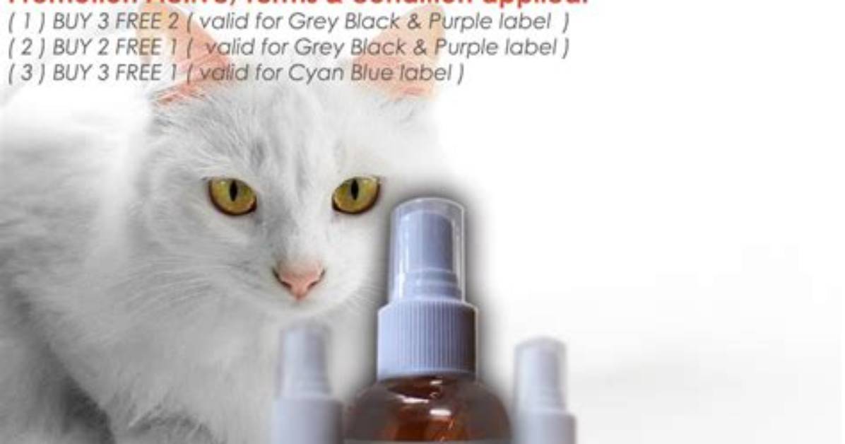 Will Colloidal Silver Kill Ringworm?