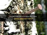 Will Copper Nails Kill a Tree?