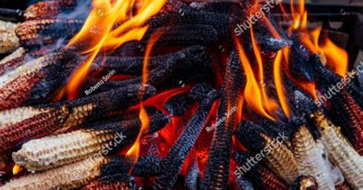 Will Corn Cob Burn?