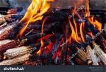 Will Corn Cob Burn?