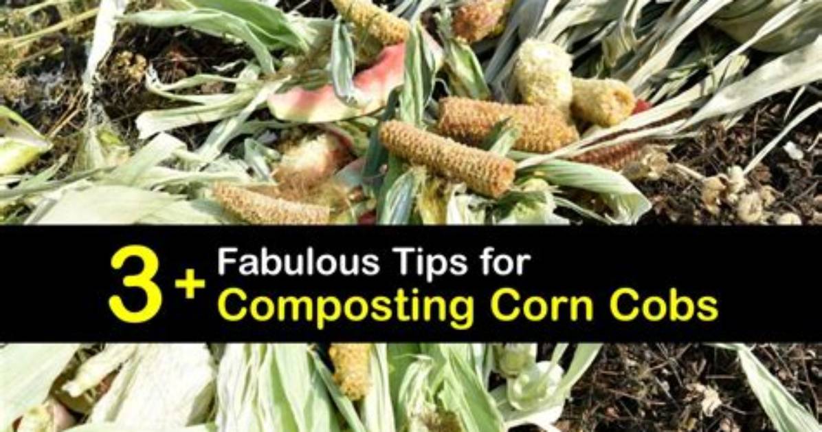 Will Corn Cobs Compost?
