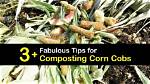 Will Corn Cobs Compost?