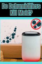Will Dehumidifiers Kill Mold?